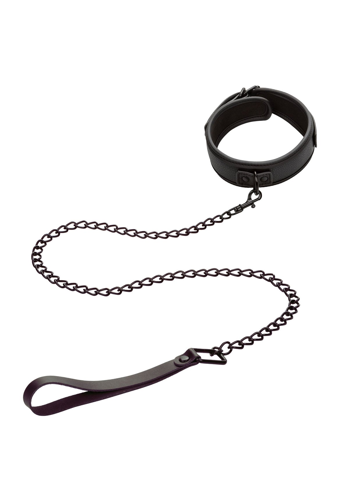 Nocturnal Collar & Leash
