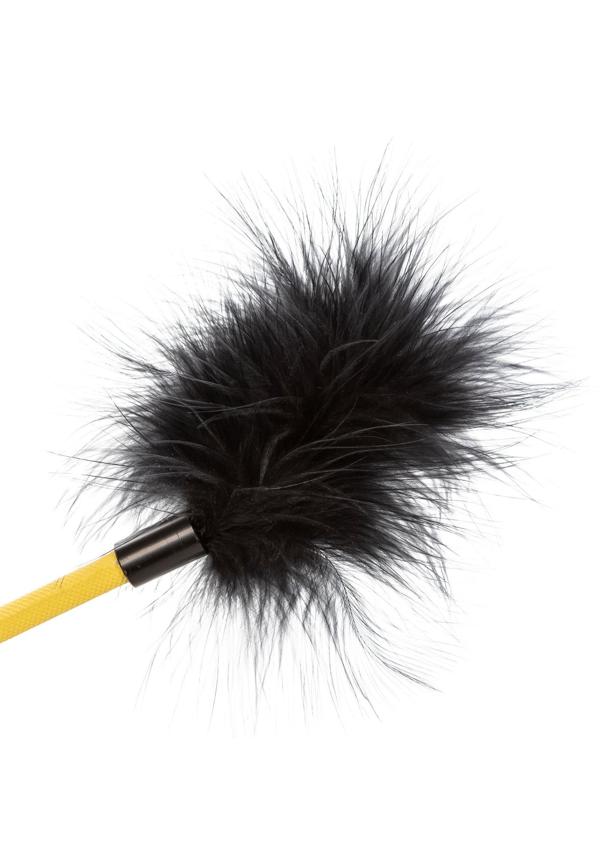 Boundless Feather Crop