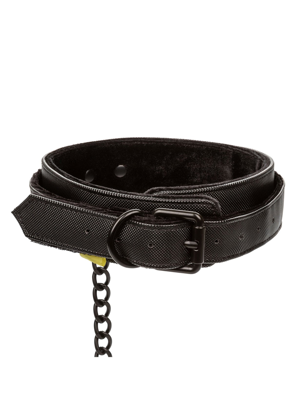 Boundless Collar & Leash