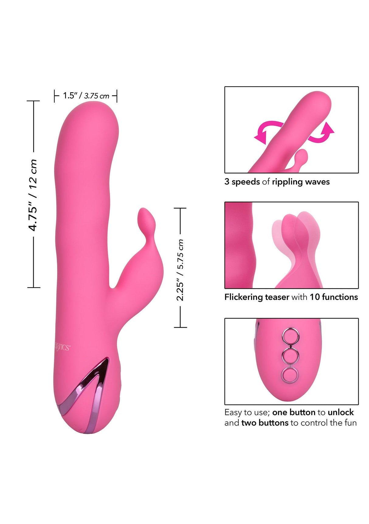 Santa Barbara Surfer