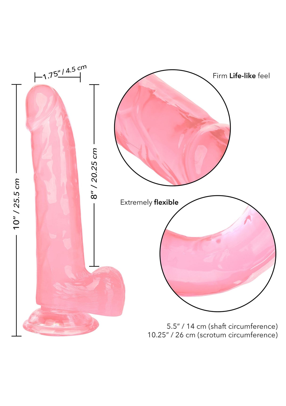 Queen Size Dong 8 inch