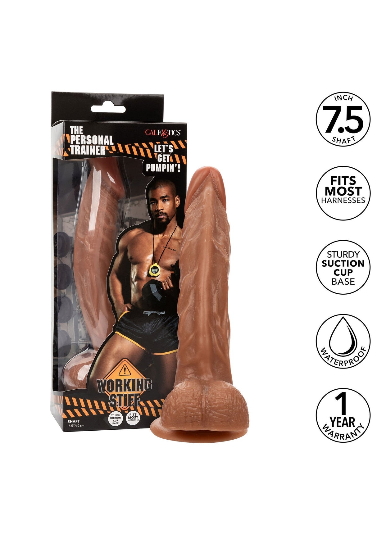 Working The Personal Trainer