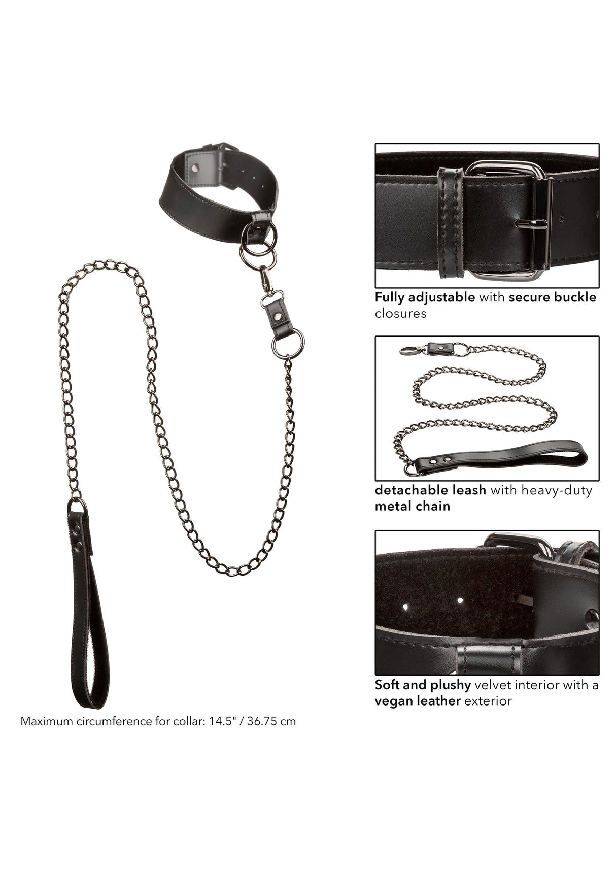 Collar With Chain Leash
