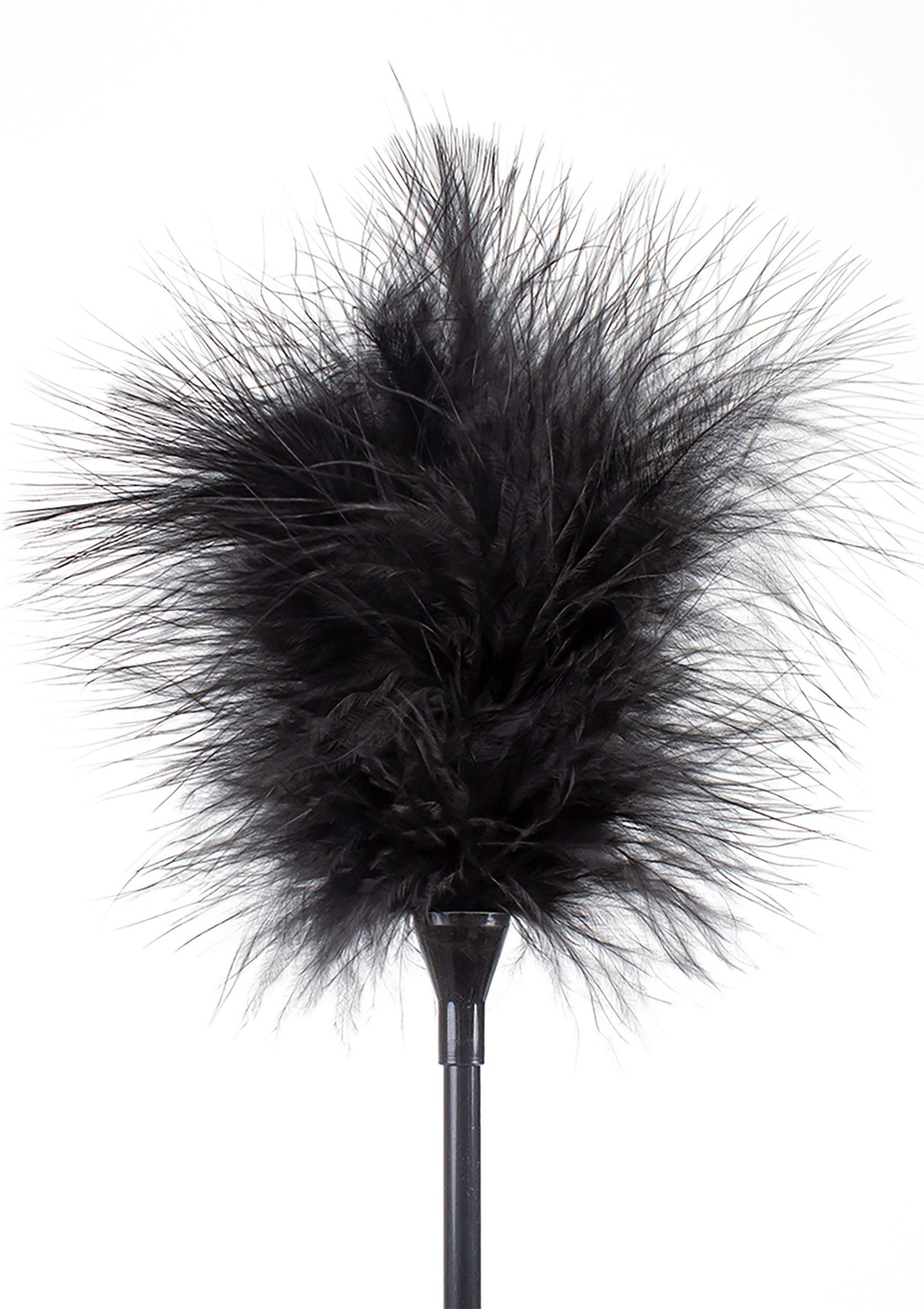Feather Tickler & Whip
