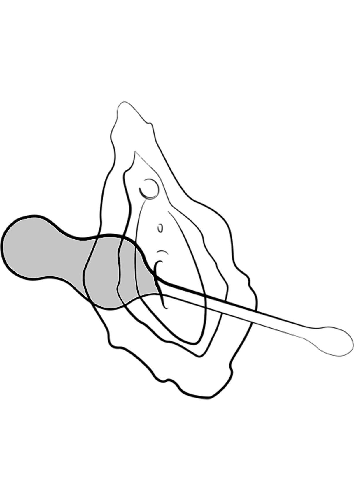 Cello