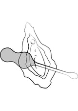 Cello