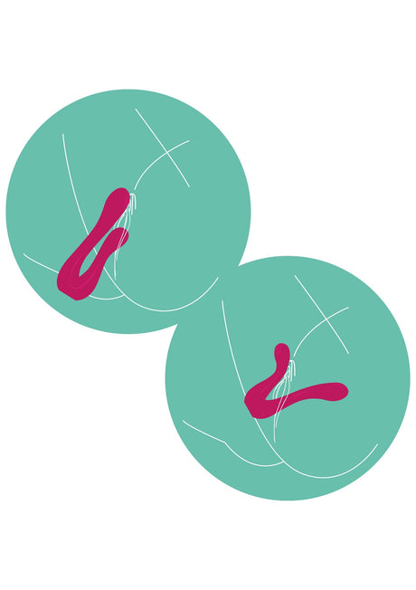 Sync Sensation Vibrator