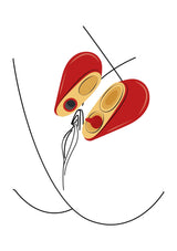 Heartbreaker 2-in-1 Stimulator