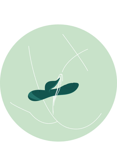 Boundless Love Vibrator