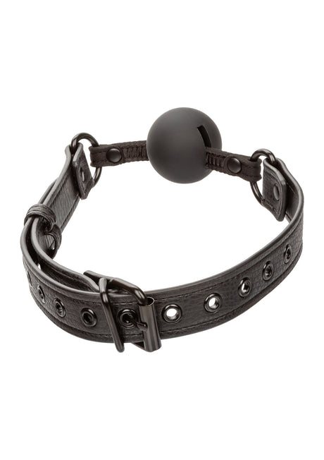 Nocturnal Ball Gag