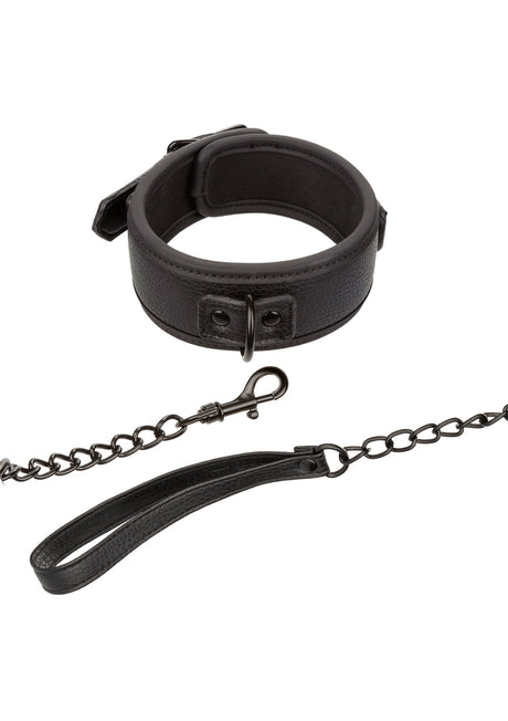 Nocturnal Collar & Leash