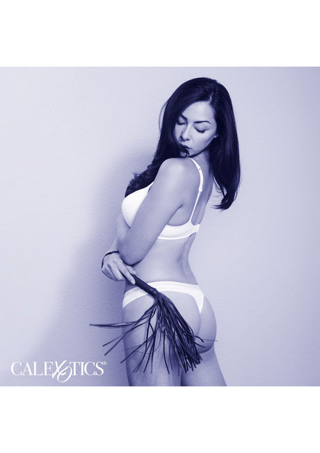 Nächtlicher Auspeitscher