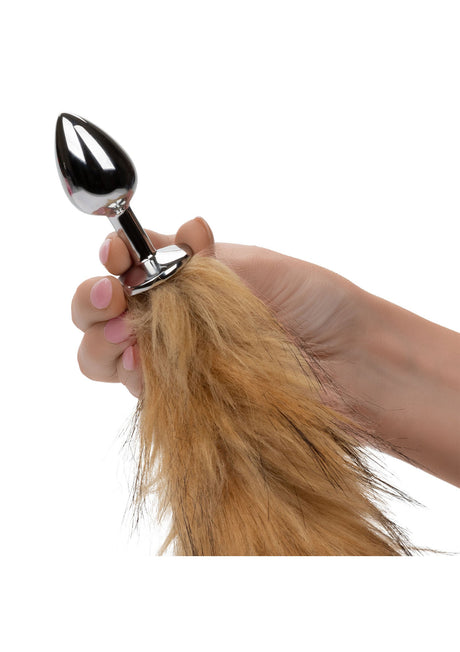 Laufender Wildschwanz