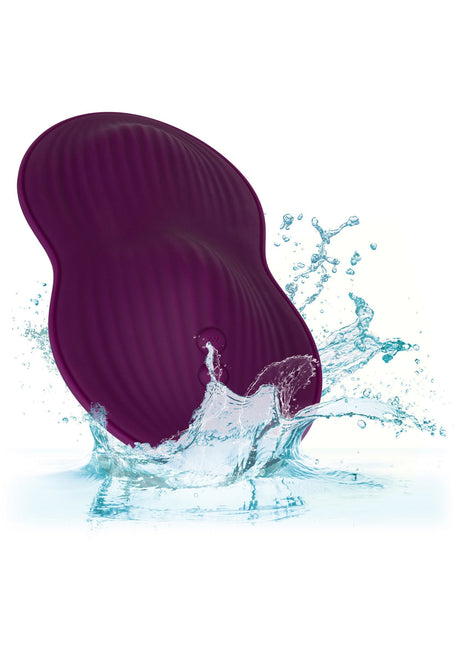 Remote Control Dual Rider