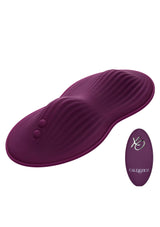 Ferngesteuerter Dual Rider