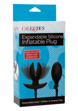 Expandable Inflatable Plug