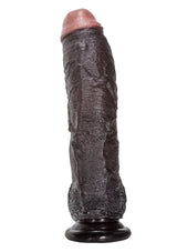 Sean Michaels Dong