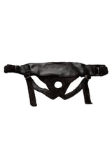Platinum Harness