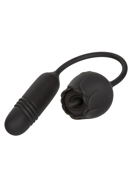 Franse kus Elite Romeo