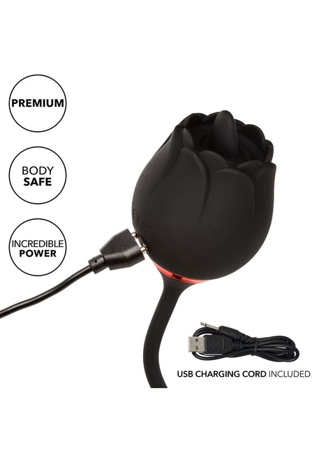 Franse kus Elite Romeo