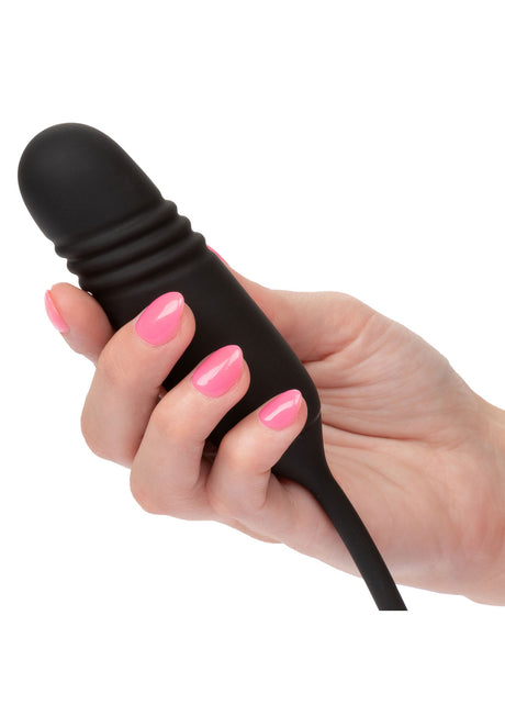 Franse kus Elite Romeo