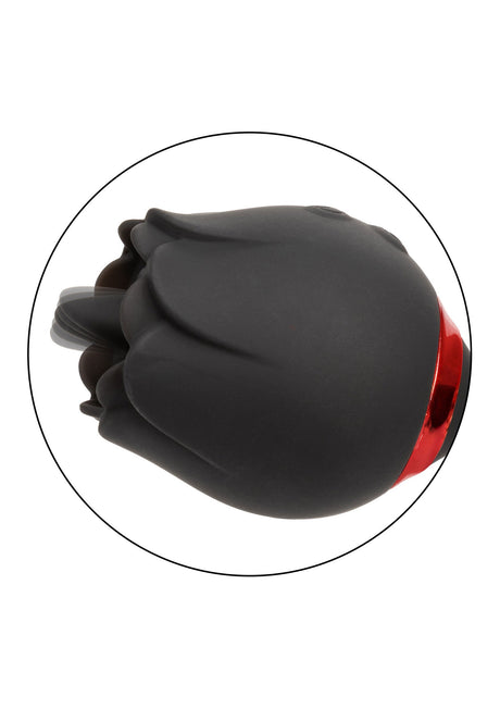 Franse kus Elite Romeo