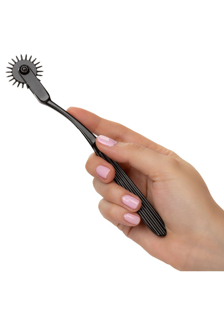 Grenzenloses Vergnügen Rad