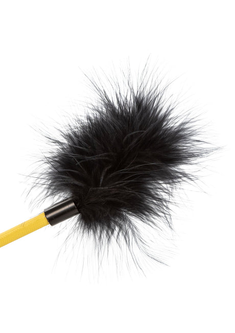 Boundless Feather Crop