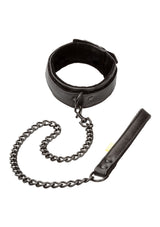 Boundless Halsband & Leine