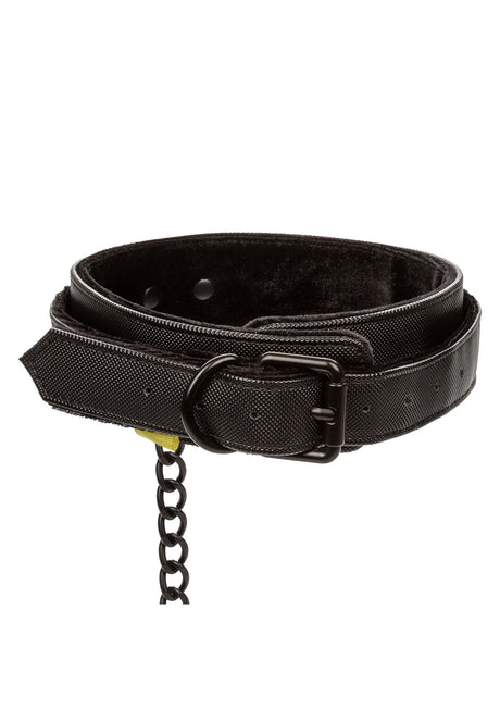 Boundless Collar & Leash