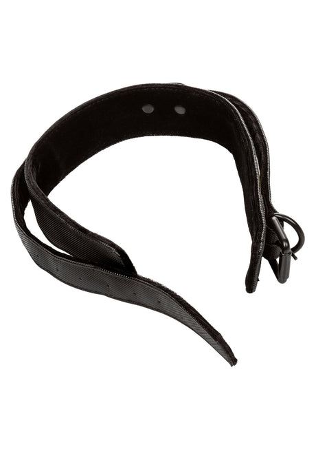 Boundless Collar & Leash