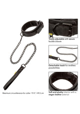 Boundless Halsband & Leine
