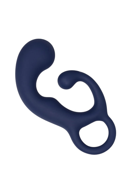 Viceroy Agility Probe