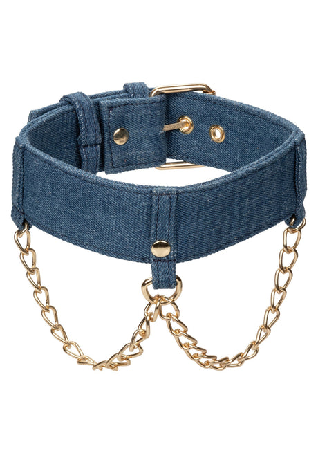 Ride Em Denim Collar + Leash