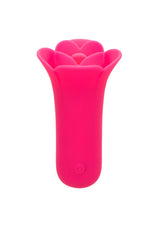 Lily Licker Mini Flower Flicker