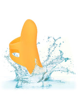 The Pleasure Vibrator