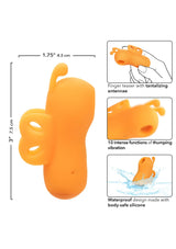 The Buzzing Vibrator