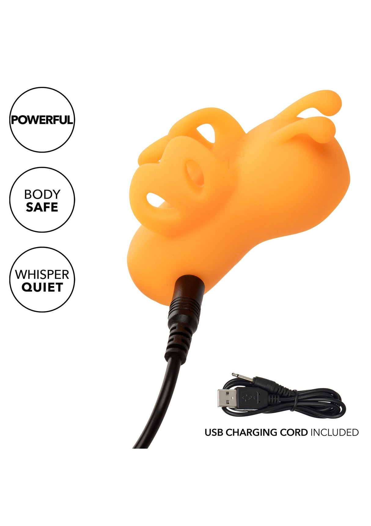 The Buzzing Vibrator
