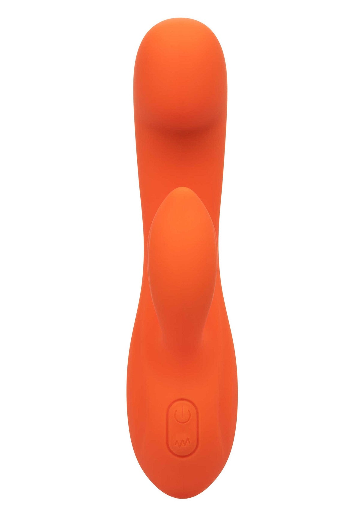 Stella Dual G