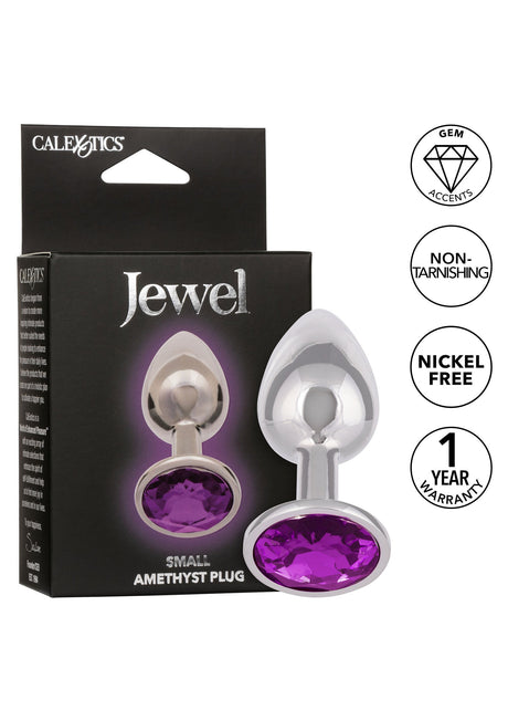 Jewel Small Amethyst Plug
