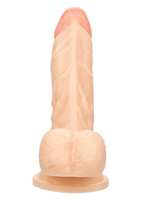 Werken Stijf De Dokter