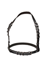 Halter Buckle Harness Plus