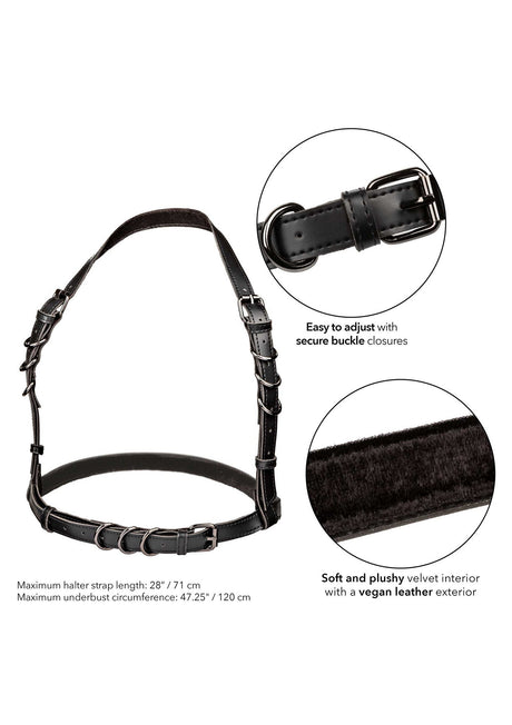 Halter Buckle Harness Plus