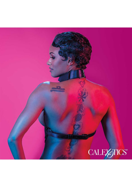 Chain Collar Harness