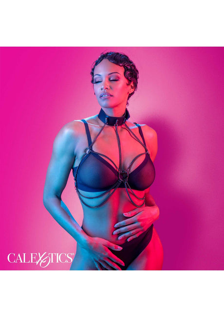 Chain Collar Harness