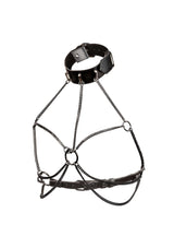 Chain Collar Harness Plus
