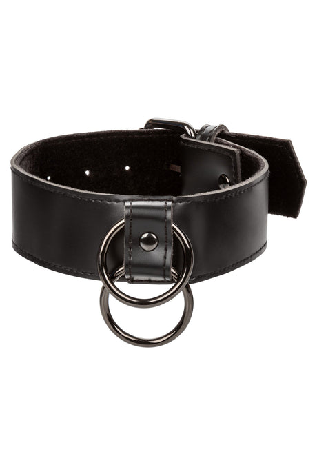Collar With Chain Leash