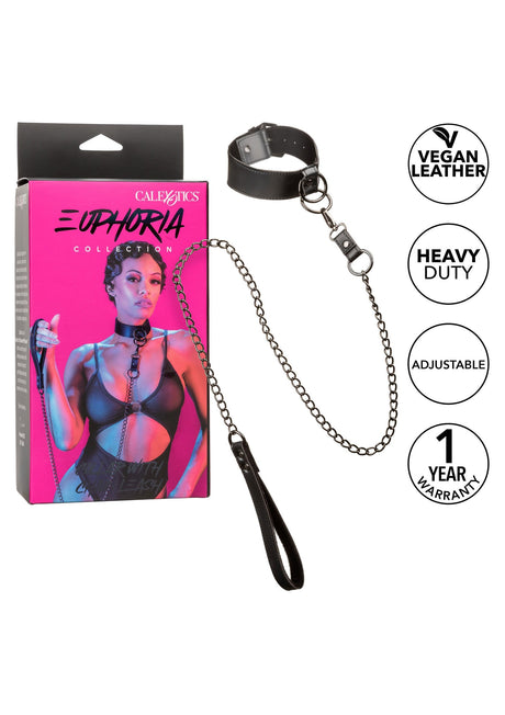 Collar With Chain Leash