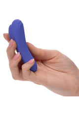 Calex Connect Panty Teaser