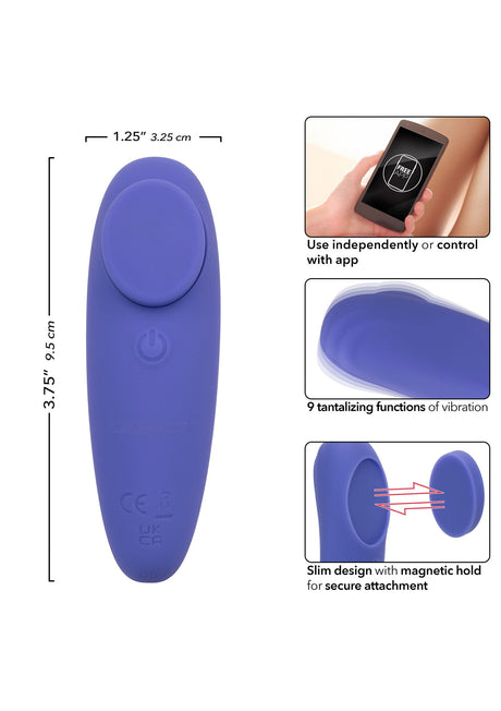 Calex Connect Panty Teaser